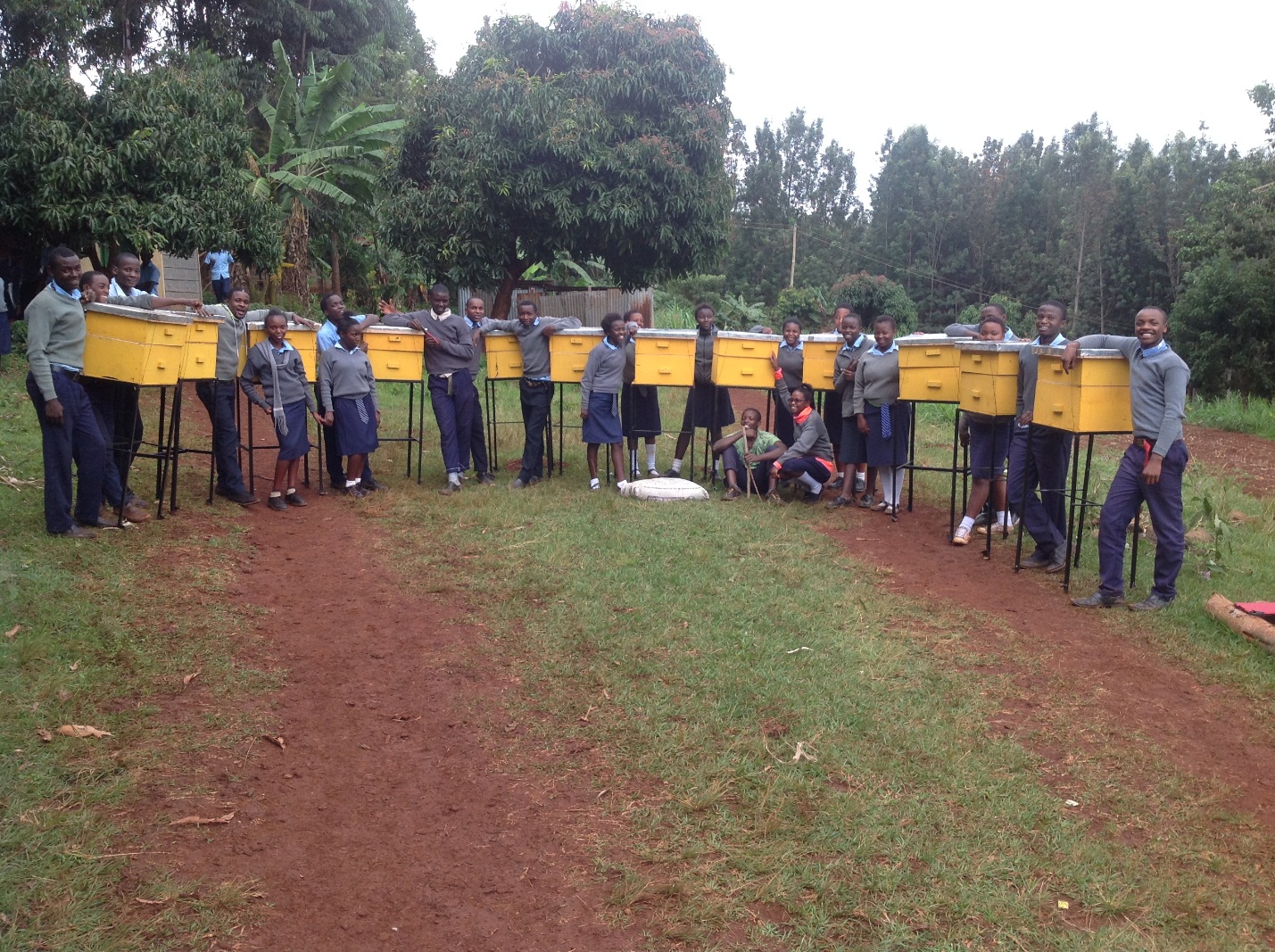 Distributed Beehives to local schools